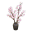 Kirschblütenzweigbündel