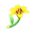 Pyrenäenlilie