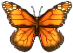 monarchfalter.png monarchfalter.png