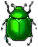 smaragdkaefer.png smaragdkaefer.png