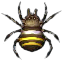 spinne.png spinne.png