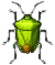 stinkwanze.png stinkwanze.png