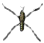 wasserlaeufer.png wasserlaeufer.png