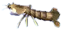 fangschreckenkrebs.png fangschreckenkrebs.png