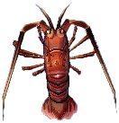 languste.png languste.png