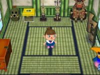 Inneneinrichtung Animal Crossing: Let's Go to the City