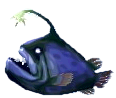 anglerfisch.png