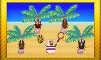 Käfer auf der Insel