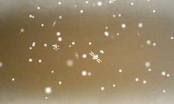 Schneefall