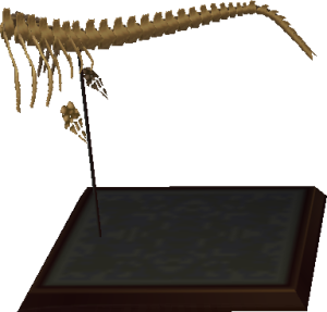 Ichthyo-Torso