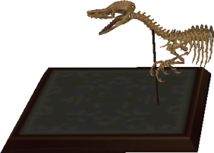 Raptor-Schädel