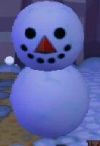 Schnemil
