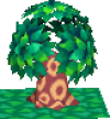 Miniaturbaum