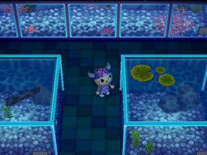 Ausstellungsraum für Fische