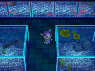 Ausstellungsraum für Fische