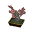 Pflaumen-Bonsai
