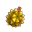 Durianfrucht Durianfrucht