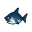 Hai Hai