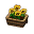 Hornveilchen Hornveilchen