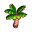 Kokosnusspalme