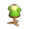Kiwishirt Kiwishirt