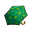 Waldschirm Waldschirm
