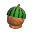Melonenhut Melonenhut