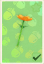 Anemonenstab