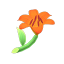 Feuerlilie