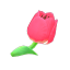 Grengjer-Tulpe