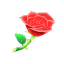 Liebesrose