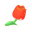 Papageitulpe