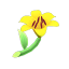 Pyrenäenlilie