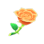 Sonnenrose