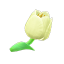 Triumphtulpe