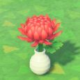 Blüte/Vase Chrysantheme