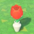 Blüte/Vase Tulpe