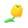 Viridifloratulpe
