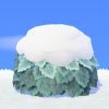 Bluthibiskus (Winter)