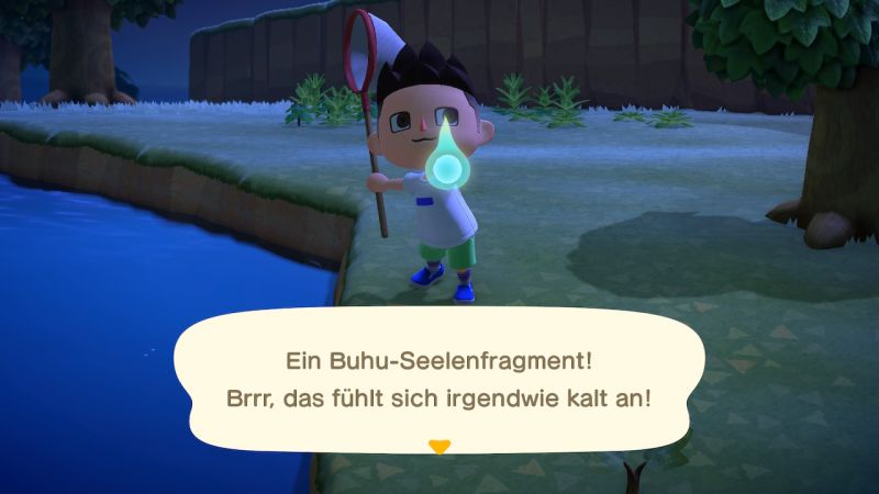 Animal Crossing New Horizons Buhu Belohnung