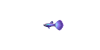 Guppy