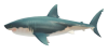 Hai