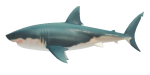Hai