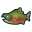 [[acnh:fische#lachs|Lachs]]