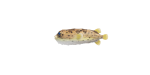 Igelfisch