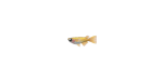 Fische (New Horizons) Animal Crossing Wiki