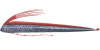 Riemenfisch