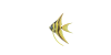 Skalar