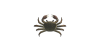 Wollhandkrabbe