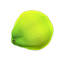 Kokosnuss